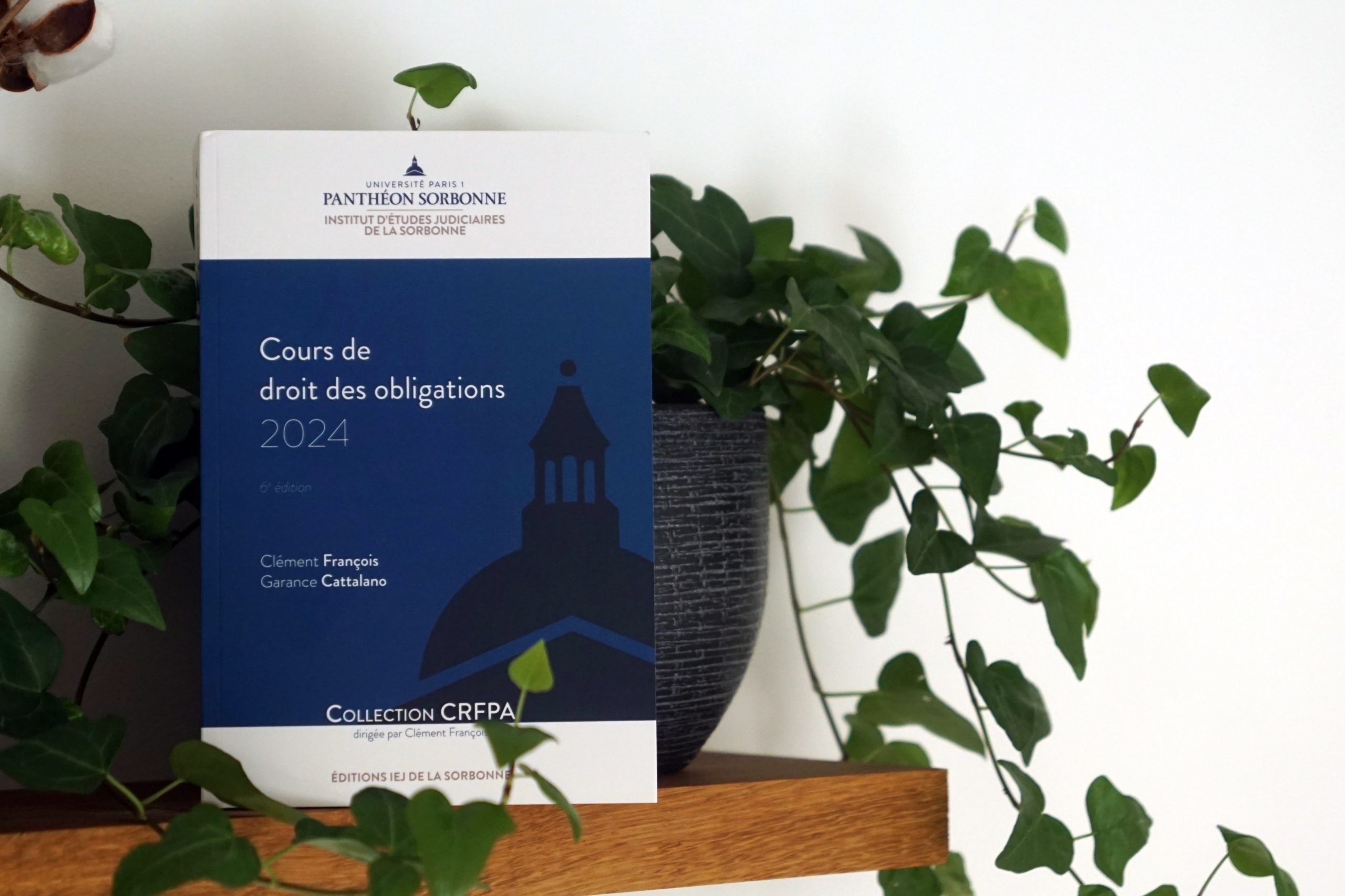 Parution du « Cours de droit des obligations 2024 » - Blog de Clément ...